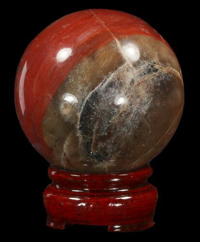 Colorful Petrified Wood Sphere #41942